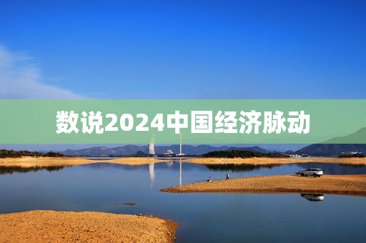 数说2024中国经济脉动