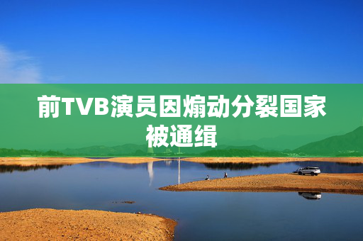 前TVB演员因煽动分裂国家被通缉